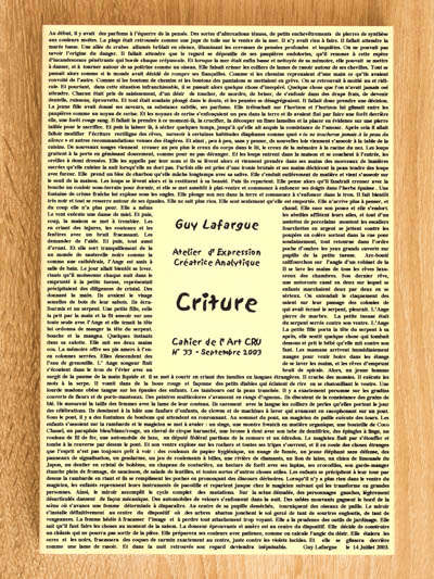 art cru livre criture