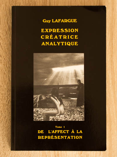 art cru livre de l affect a la representation