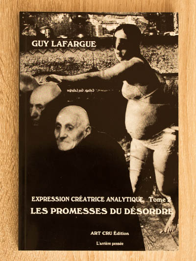 art cru livre les promesses du desordre