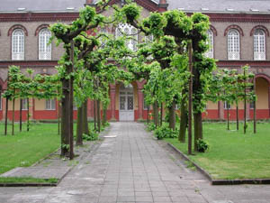 Le Musée du docteur Guislain