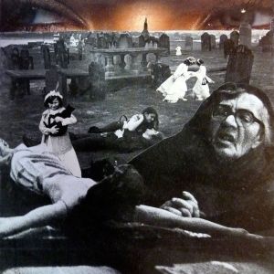 c19