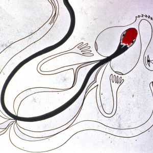 d17