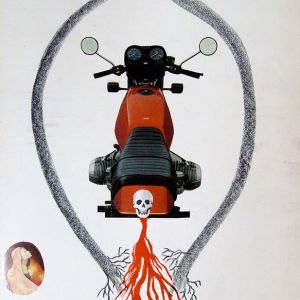d55